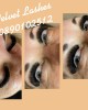 Velvet Lashes