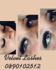 Velvet Lashes
