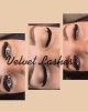 Velvet Lashes