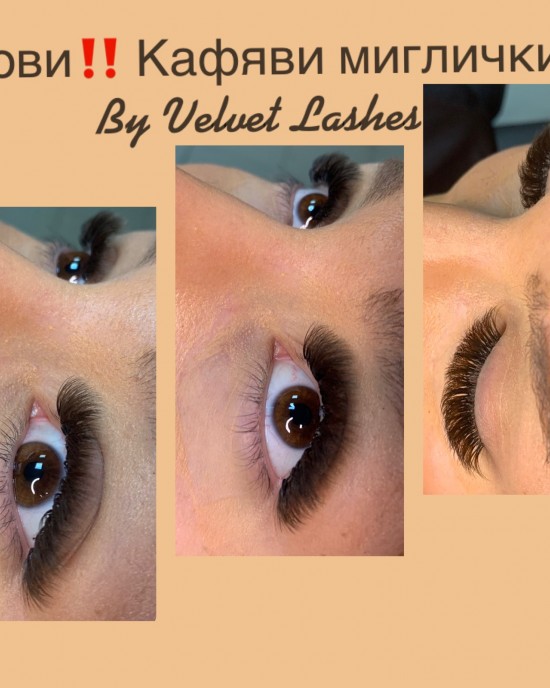 Velvet Lashes